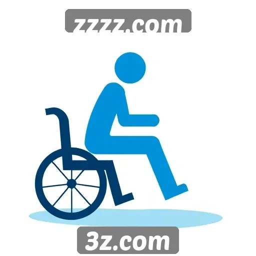 Recursos de acessibilidade oferecidos pelo site zzzz.com